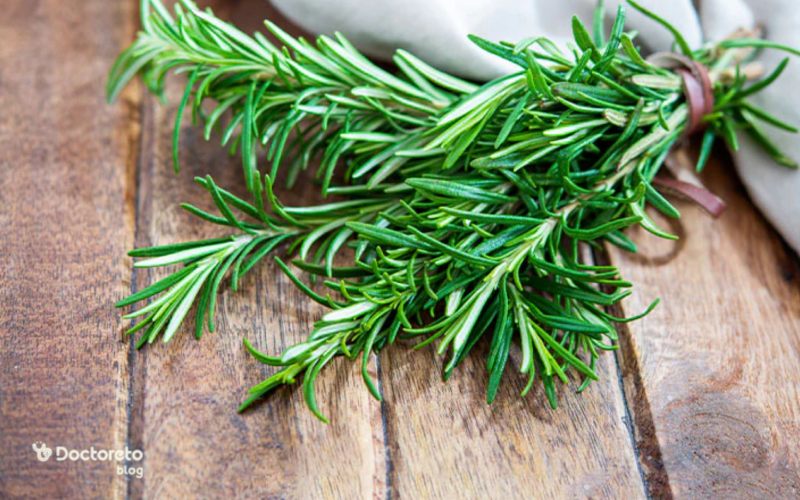آیا با خواص گیاه رزماری آشنا هستید؟