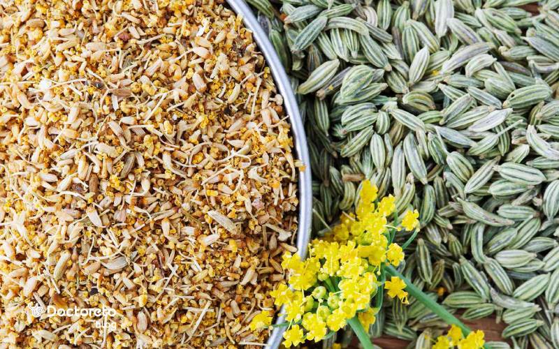 خواص رازیانه و هر آنچه باید در مورد آن بدانید