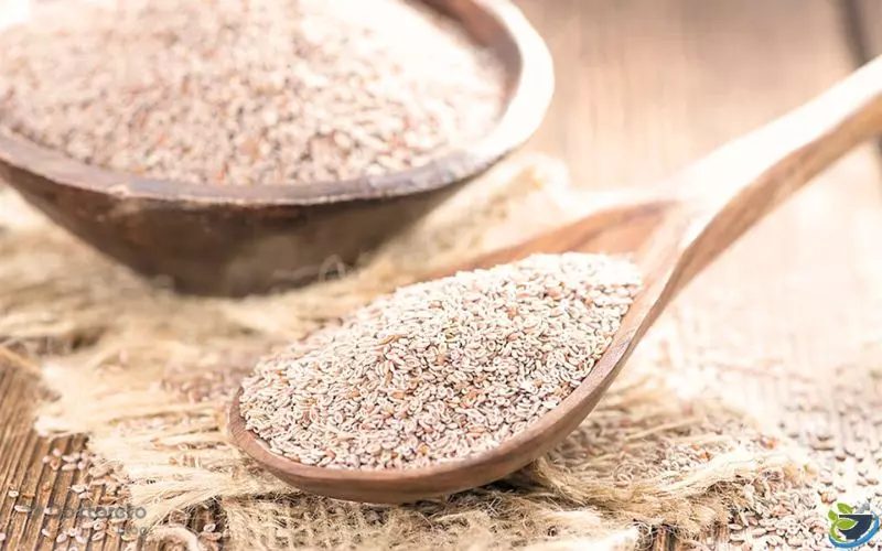 داروی گیاهی اسفرزه چیست؟ کاربرد و عوارض مصرف پوسته اسفرزه